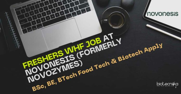 Freshers WHF Job at Novonesis