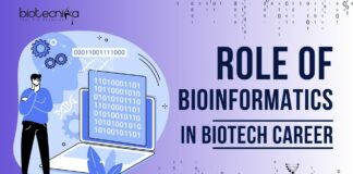 Role of Bioinformatics in Biotechnology Career