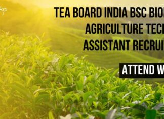 Tea Board India BSc Biology & Agriculture Technical Assistant Recruitment – Attend Walk-In Tea Board India BSc Biology