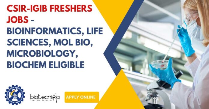 CSIR-IGIB Freshers Jobs