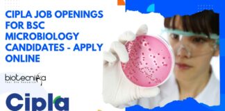 Cipla Job Openings For BSc Microbiology