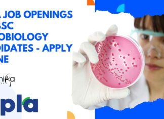 Cipla Job Openings For BSc Microbiology Candidates – Apply Online Cipla Job Openings For BSc Microbiology
