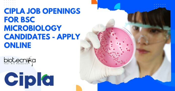 Cipla Job Openings For BSc Microbiology
