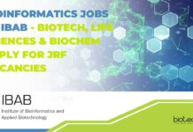 Bioinformatics Vacancies at IBAB