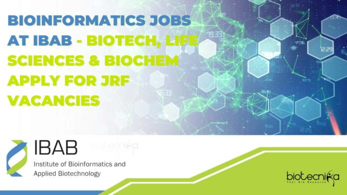 Bioinformatics Vacancies at IBAB