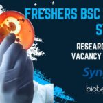 Freshers BSc Jobs at Syngene