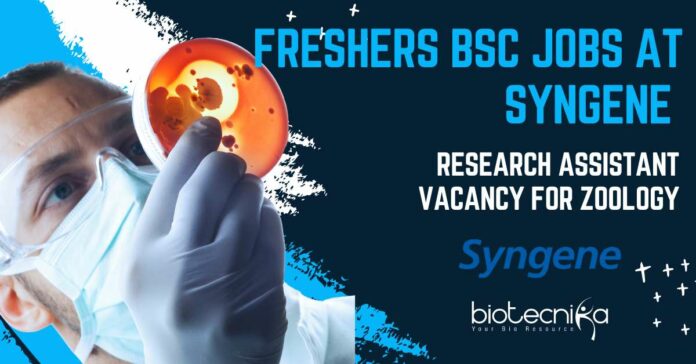 Freshers BSc Jobs at Syngene