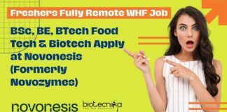 Freshers Fully Remote WHF Job