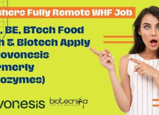 Freshers Fully Remote WHF Job