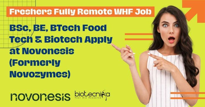 Freshers Fully Remote WHF Job