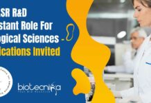 JNCASR R&D Assistant Role