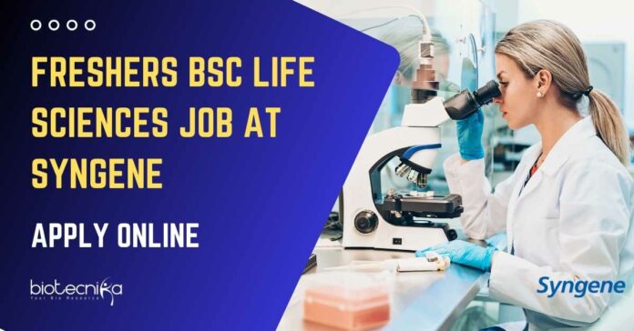 Freshers BSc Life Sciences Job at Syngene