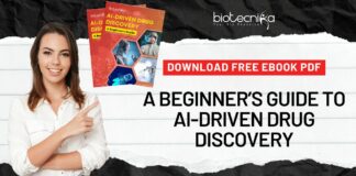AI For Beginners