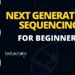 Next Generation Sequencing For Beginners