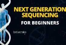 Next Generation Sequencing For Beginners