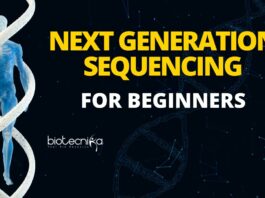 Next Generation Sequencing For Beginners