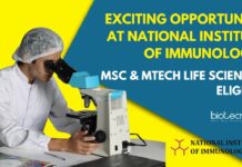 MSc Project Jobs at NII Delhi