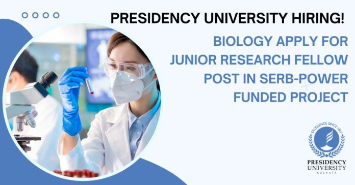 Presidency University Hiring