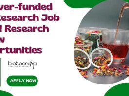 Tea Research Job Alert!