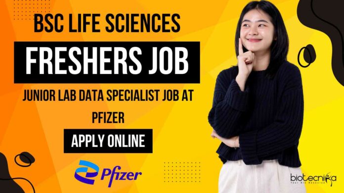 Freshers Job Vacancies Pfizer