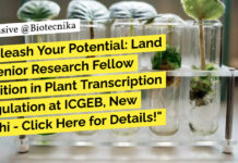 ICGEB SRF Vacancy Notification - Attend Walk-In-Interview