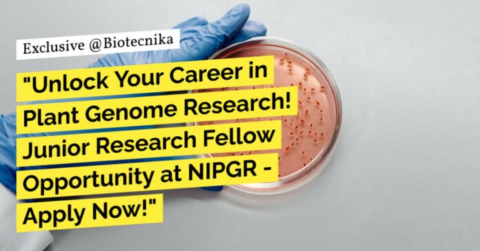 NIPGR Molecular Biology JRF Job - Life Sciences, Biotech & Biochem Apply