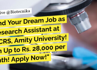 Research Assistant at AICCRS, Amity University! BSc, MSc & MTech Biological Sciences Apply Now! AICCRS Biological Sciences Research Assistant Job Opening - Apply Online