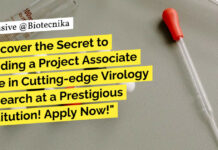PGIMER Virology Project Recruitment – MSc Life Sciences, Biotech, Microbiology, Genetics Apply PGIMER Virology Project Recruitment - MSc Life Sciences, Biotech, Microbiology, Genetics Apply