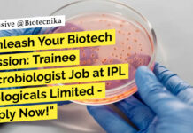 Trainee Microbiologist QC Job