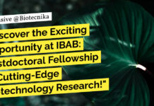 Exciting Opportunity at IBAB: Postdoctoral Fellowship For Life Sciences – Apply Now IBAB Postdoctoral Fellowship