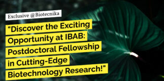 IBAB Postdoctoral Fellowship