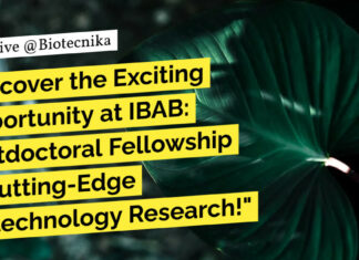 IBAB Postdoctoral Fellowship