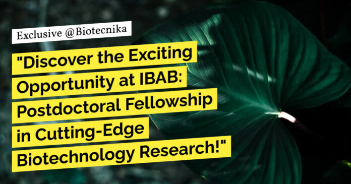 IBAB Postdoctoral Fellowship