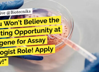 Syngene Assay Biologist Role For MSc Life Sciences – Apply Now Syngene Vacancies Life Science