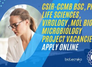 CCMB Project Vacancies 2024