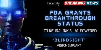 Neuralink's Blindsight
