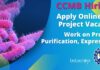 CCMB Hiring! Apply Online For Project Vacancy – Work on Protein Purification, Expression CCMB Vacancies - Apply Online