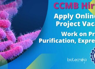CCMB Vacancies - Apply Online