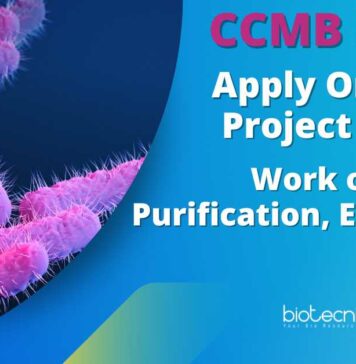 CCMB Vacancies - Apply Online