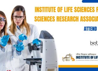 PhD Mol Bio Research Job