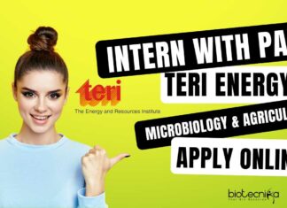 Intern at TERI Energy