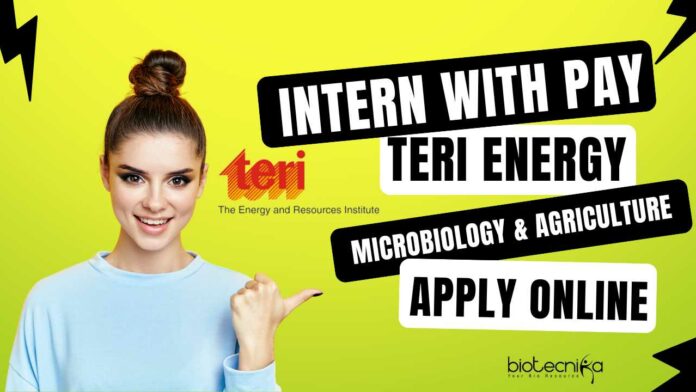 Intern at TERI Energy