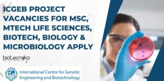 ICGEB Project Vacancies For