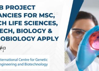 ICGEB Project Vacancies For