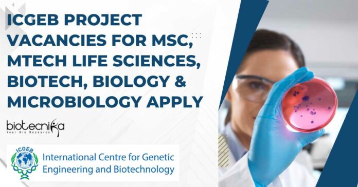 ICGEB Project Vacancies For