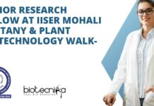 Junior Research Fellow at IISER Mohali - Botany & Plant Biotechnology Walk-In