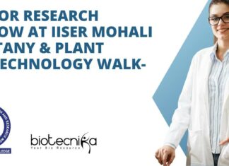 Junior Research Fellow at IISER Mohali – Botany & Plant Biotechnology Walk-In Junior Research Fellow at IISER Mohali - Botany & Plant Biotechnology Walk-In