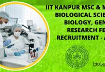 IIT Kanpur MSc & MTech Biological Sciences, Biology, Genetics Research Fellow Recruitment – Apply Now IIT Kanpur Research Fellow Recruitment