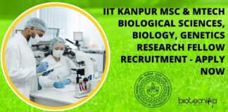 IIT Kanpur Research Fellow Recruitment