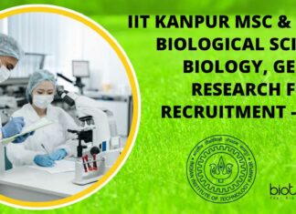IIT Kanpur Research Fellow Recruitment
